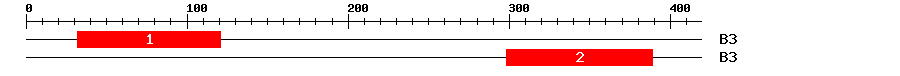 Signature Domain