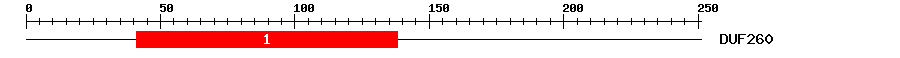 Signature Domain