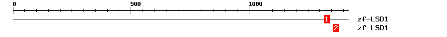 Signature Domain