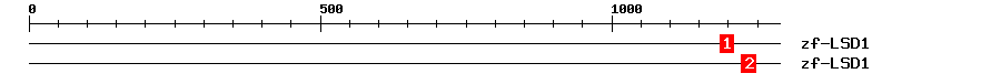 Signature Domain