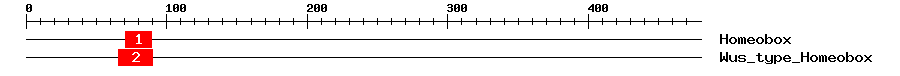 Signature Domain