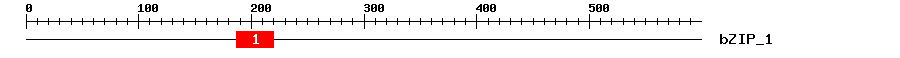 Signature Domain