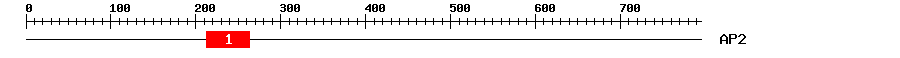 Signature Domain