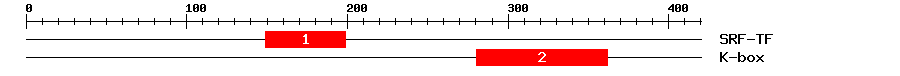 Signature Domain