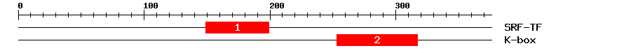 Signature Domain
