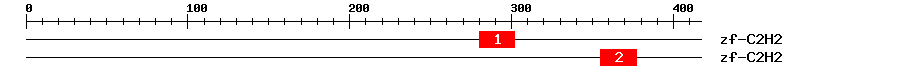 Signature Domain