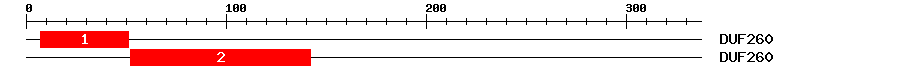 Signature Domain