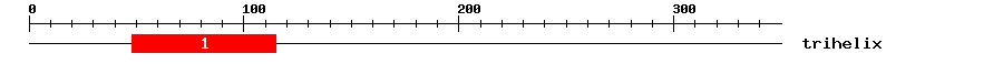 Signature Domain