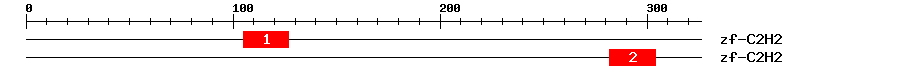 Signature Domain