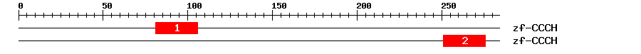 Signature Domain