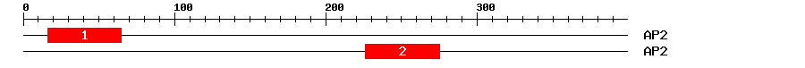 Signature Domain