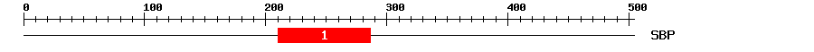 Signature Domain
