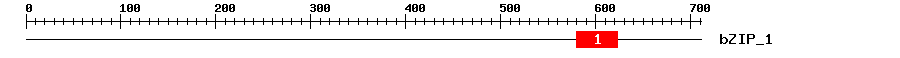 Signature Domain