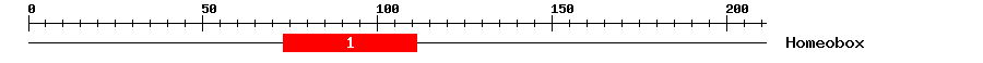 Signature Domain