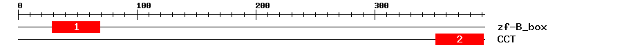 Signature Domain