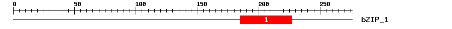 Signature Domain