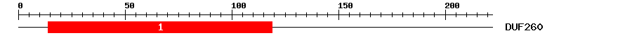 Signature Domain