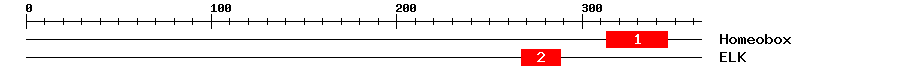 Signature Domain