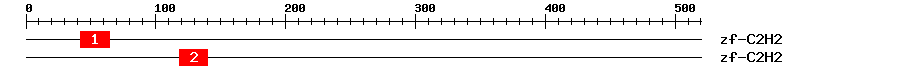 Signature Domain
