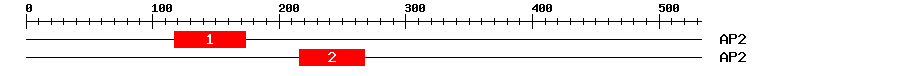 Signature Domain
