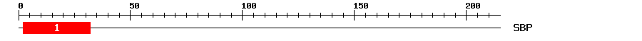 Signature Domain