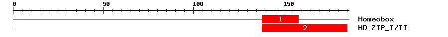 Signature Domain