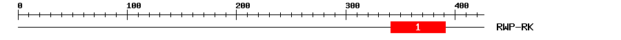 Signature Domain