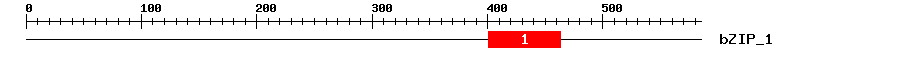 Signature Domain