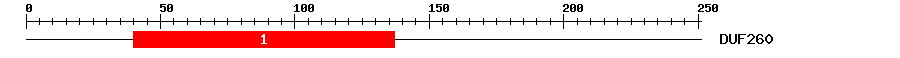 Signature Domain