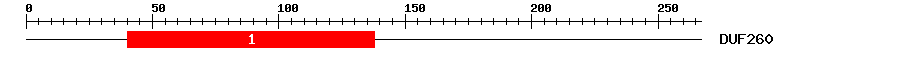 Signature Domain