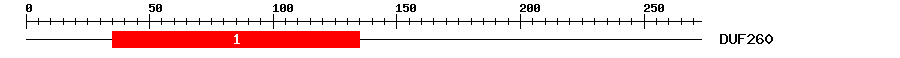 Signature Domain