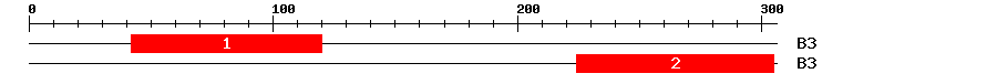 Signature Domain