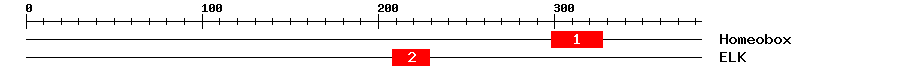 Signature Domain