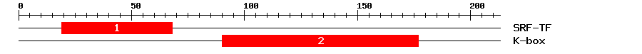 Signature Domain
