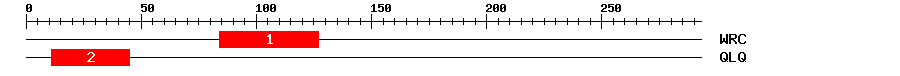 Signature Domain