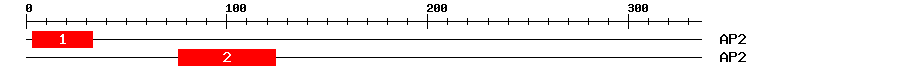 Signature Domain