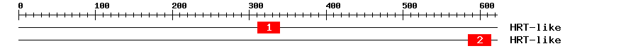 Signature Domain