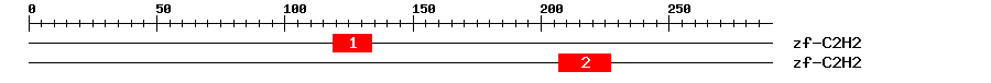 Signature Domain