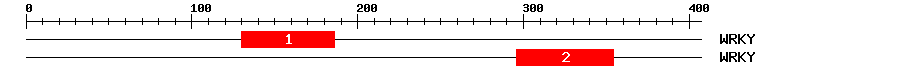Signature Domain