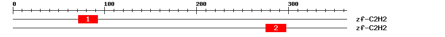 Signature Domain