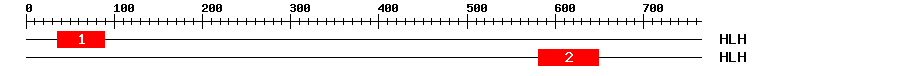 Signature Domain