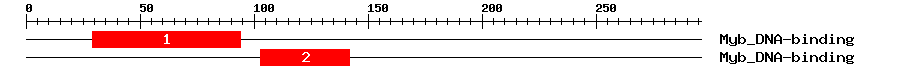 Signature Domain