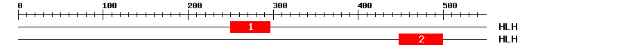 Signature Domain