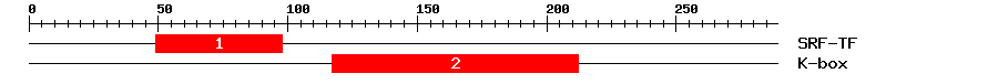 Signature Domain