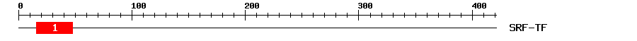 Signature Domain