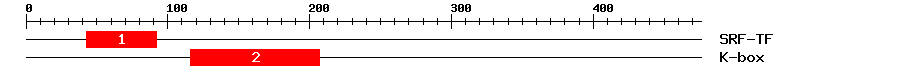 Signature Domain