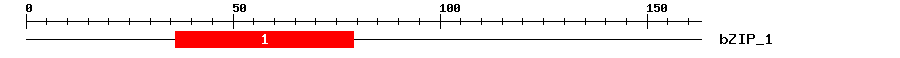 Signature Domain