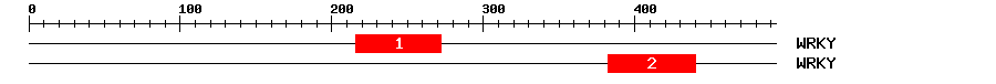 Signature Domain