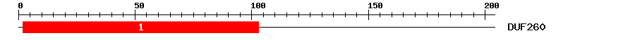 Signature Domain