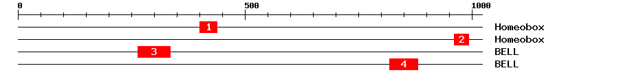 Signature Domain